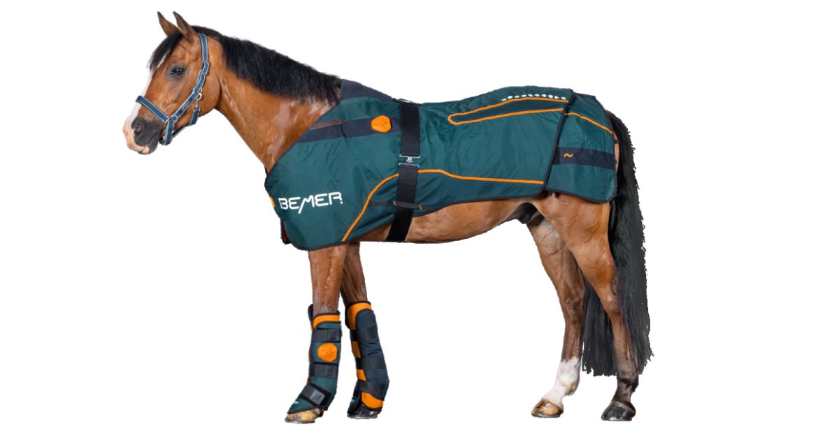 BEMER Horse-Set